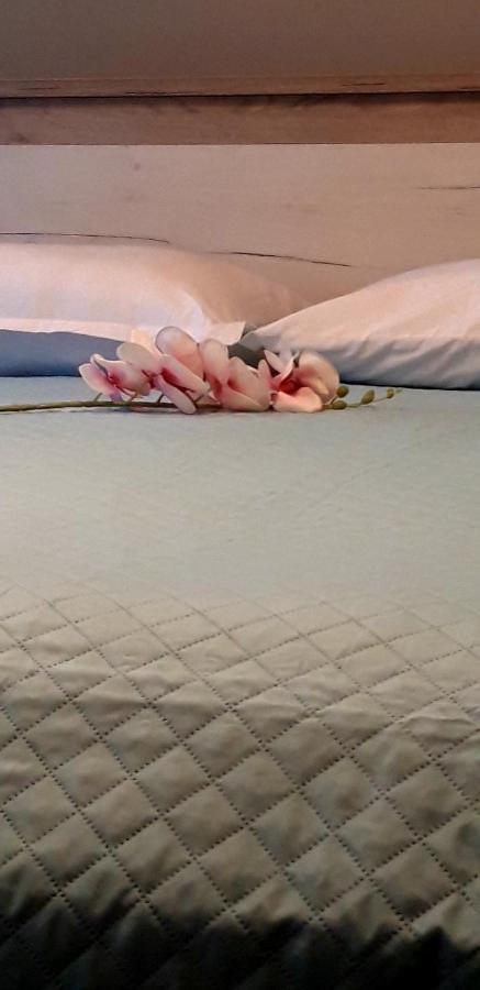 Alepou Sp+P Apartment מראה חיצוני תמונה